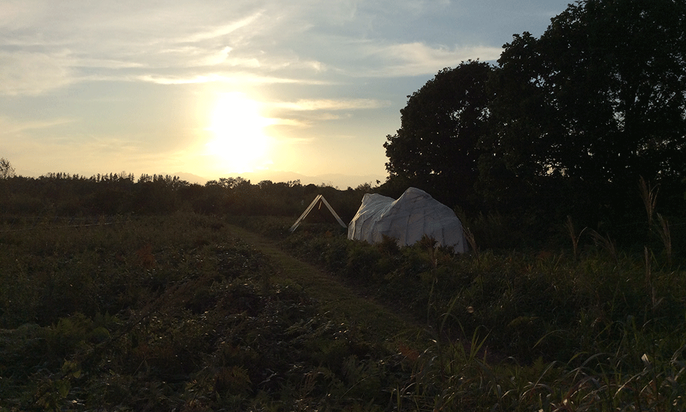ヒト科ヒト属ヒト会場3