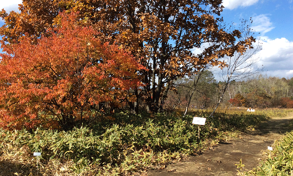 ヒト科ヒト属ヒト会場5