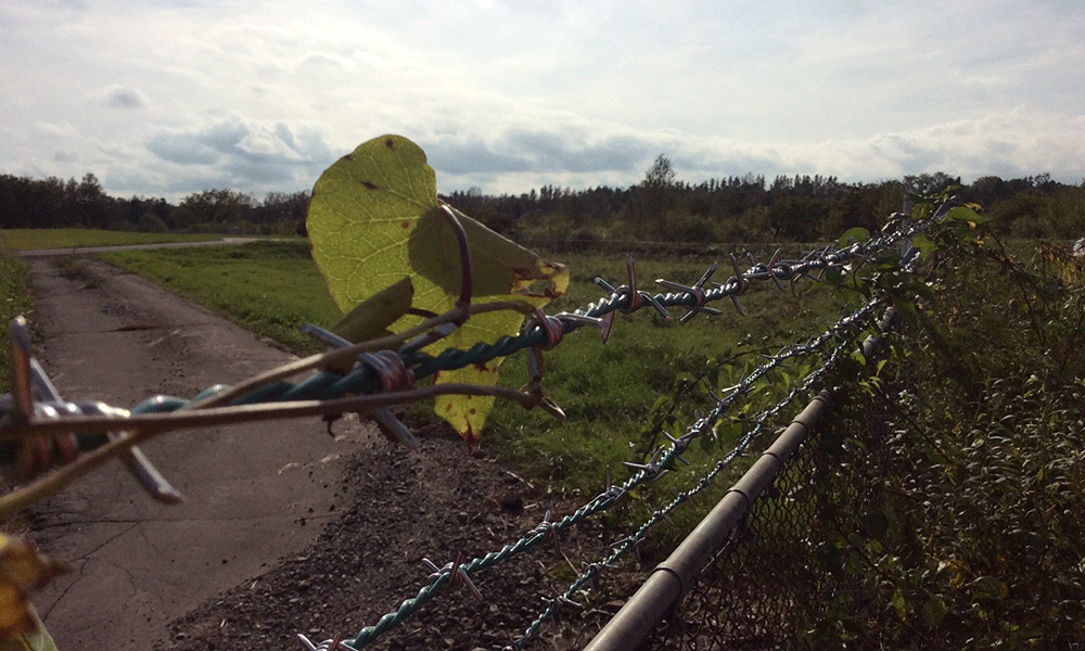 ヒト科ヒト属ヒト会場6